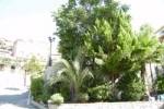 projectscompleted_11